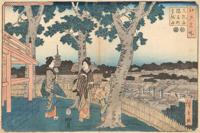 Edo Meisko: Matsuchiyama, Saruwakacho, Kinruyusan